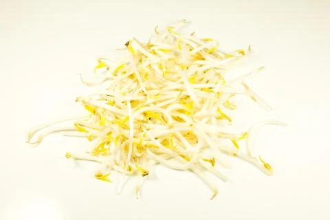 Bean sprouts on white background Stock Photos