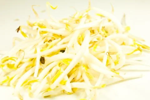Bean sprouts on white background Stock Photos
