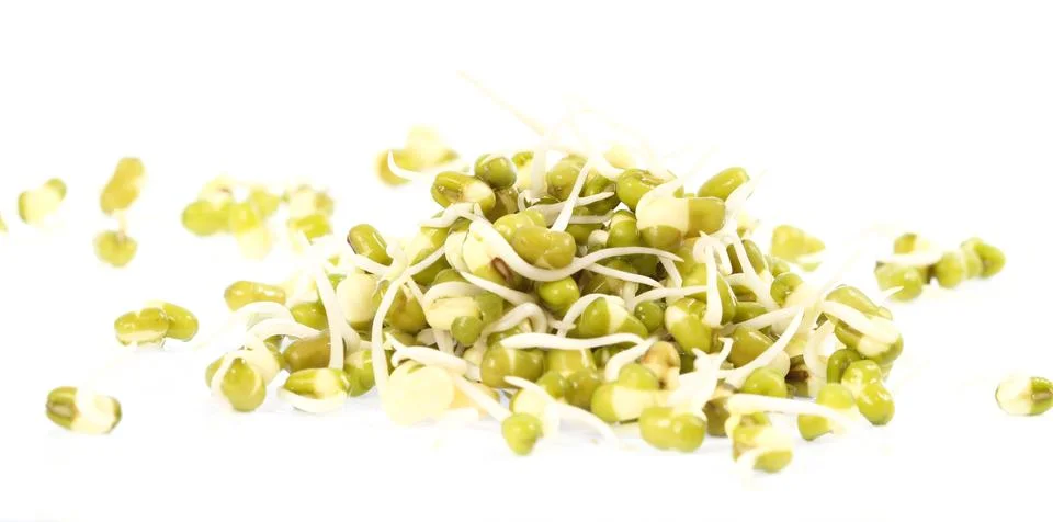 Bean sprouts on white background Stock Photos
