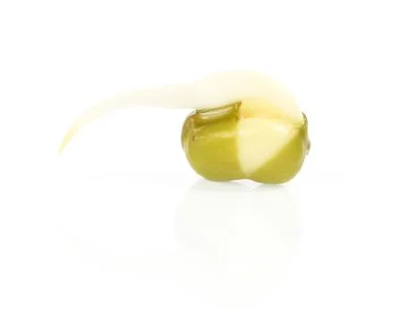 Bean sprouts on white background Stock Photos