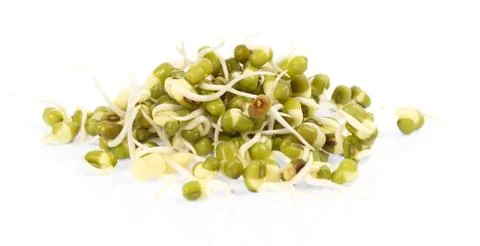 Bean sprouts on white background Stock Photos
