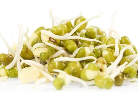 Bean sprouts on white background Stock Photos
