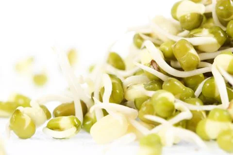 Bean sprouts on white background Stock Photos
