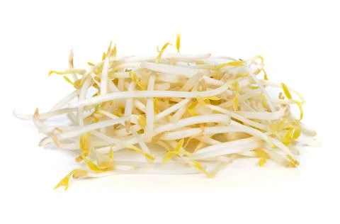 Bean sprouts on white background Stock Photos
