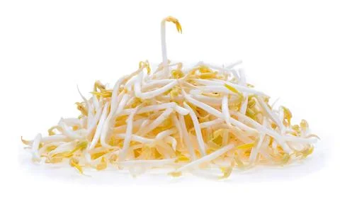 Bean sprouts on white background Stock Photos