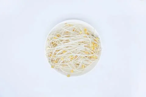 Bean sprouts on a white background Stock Photos