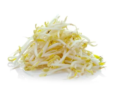 Bean Sprouts on White Background Stock Photos