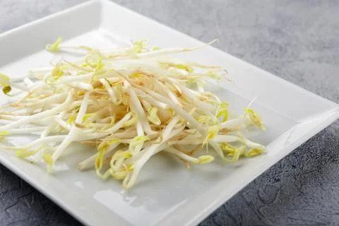 Bean sprouts in white plate. Stock Photos