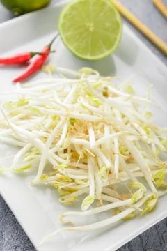 Bean sprouts in white plate. Stock Photos