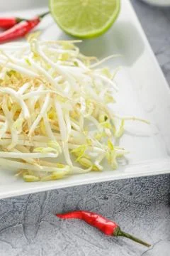 Bean sprouts in white plate. Stock Photos
