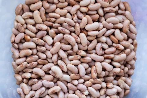 Bean texture.Red beans in a container.Red beans. Stock Photos