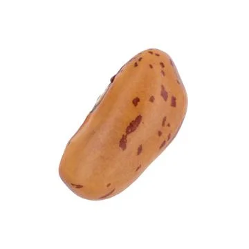 Bean2 Stock Photos