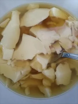 Beancurd 库存照片