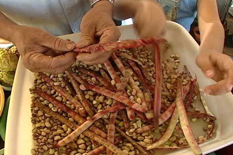 Beans - 005150014 Stock Footage 845786