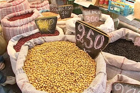 Beans - 005150016 Stock Footage 845831