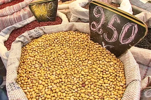 Beans - 005150017 Stock Footage 845850