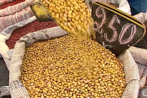 Beans - 005150019 库存影片 845893