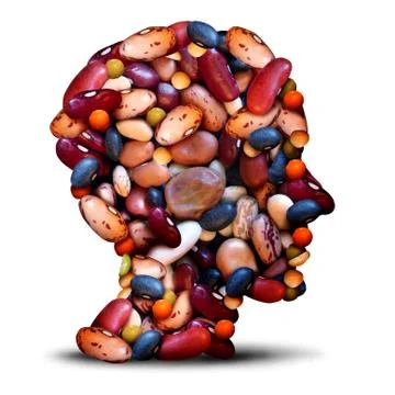 Beans And Lentil Idea Stock Illustration
