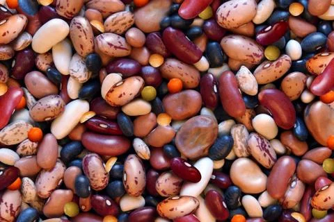 Beans And Lentils Background Stock Illustration