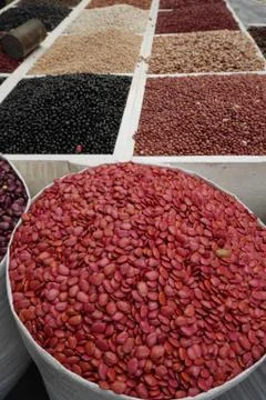 Beans and Lentils Stock Photos