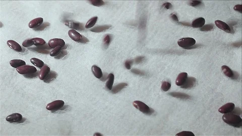 Beans are strewn onto a white texture background Stock Footage