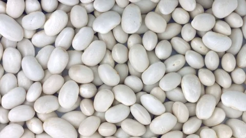 Beans background rotation. Haricot bean closeup rotate Stock Footage 73097978