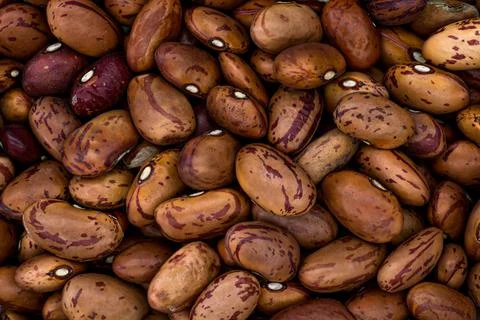 Beans bcg Stock Photos