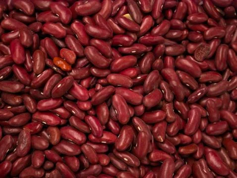 Beans of bean ( beans ). Background of many grains of dried beans. Brown bean Stock Photos
