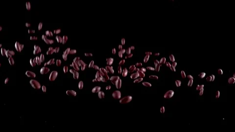Beans beans will do up and fall down on a black background. Slow motion. Food Stock Footage 105678321