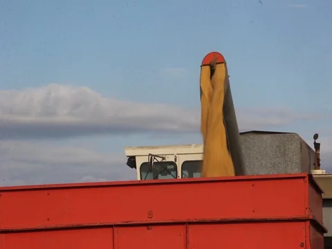 Beans being poured into a hopper Stock Footage