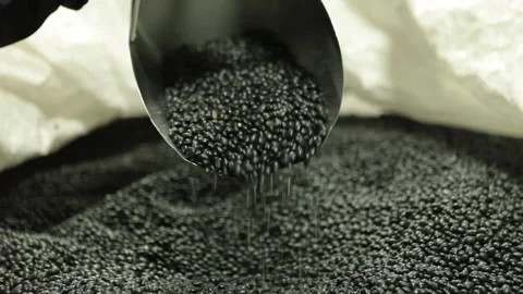 Beans Black Being Poured in Container Stock Footage 172207869