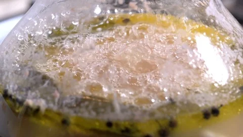 Bean's bubble Stock Footage 100042870