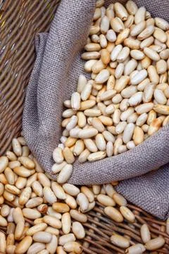 Beans cannellini Stock Photos