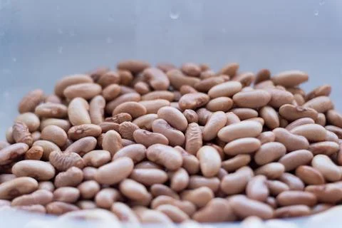 Beans close up. Stock Photos