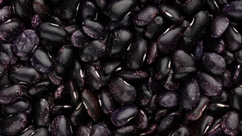 Beans close up. Spotted haricots, top view. Stock Footage 137766571