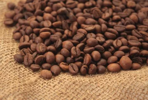 Beans of coffee Stock Illustration