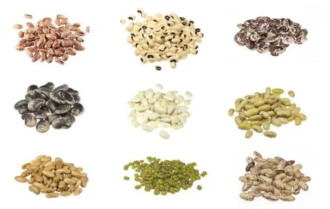 Beans collection on white Stock Photos