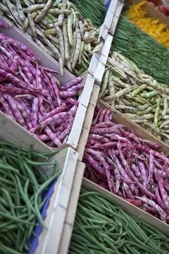 Beans in crates Stock Photos