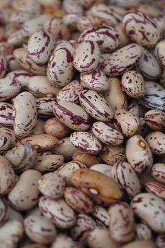 Beans of different colors and patterns are spread out Stock Photos