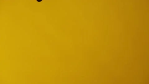 Beans Falling Slow Motion Yellow BG 4k v2 Stock-Footage 134584430