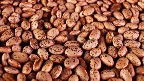 Beans food closeup texture pattern seamless looping rotating video footage hd Stock Footage 102749995