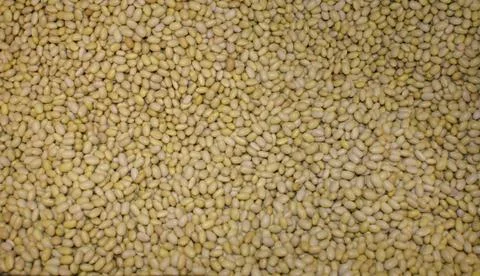 Beans Food Commodities Bulk Background Texture Stock Photos
