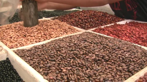 Beans 스톡 동영상 5165284