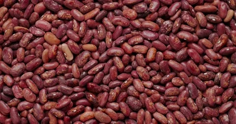 Beans Stock Footage 146481685