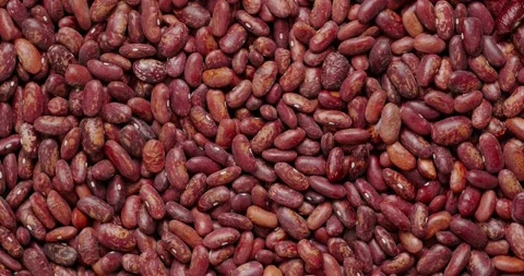 Beans Stock Footage 146481805