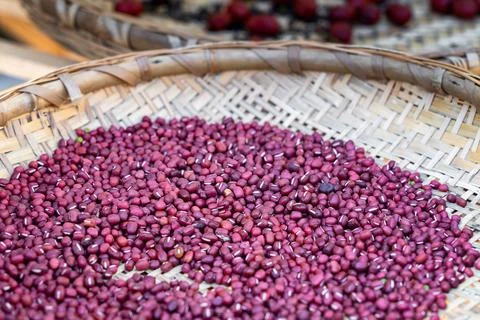 Beans in the garden Stock Photos