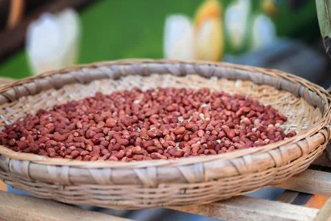 Beans in the garden Stock Photos