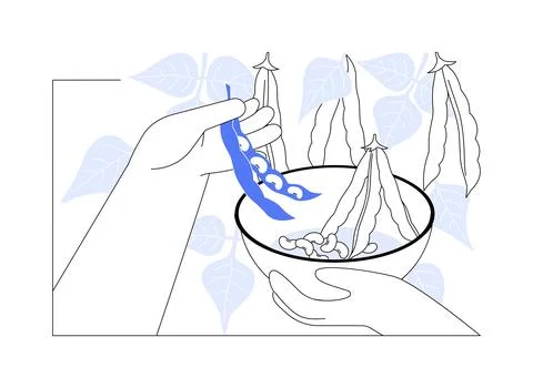 Beans growing isolated cartoon vector illustrations. Stock Illustration