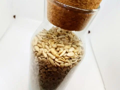 Beans, Leguminosen Foto stock