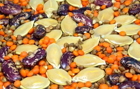 Beans lentils buckwheat seeds pumpkin Stock Photos